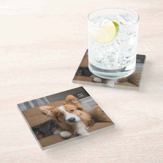 Cutest Baby Animals | Long Hair Corgi Puppy Glass Coaster (Angled)