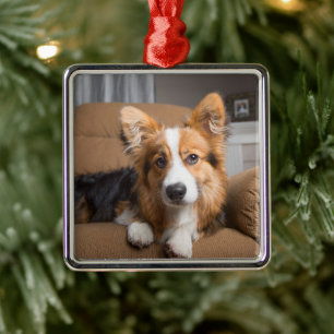 Cutest Baby Animals Long Hair Corgi Puppy Metal Ornament