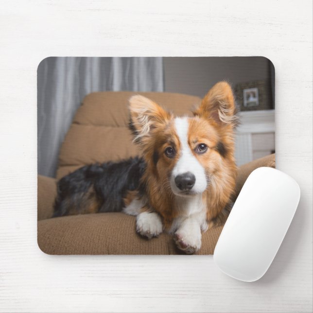 Cutest Baby Animals | Long Hair Corgi Puppy Mouse Pad (With Mouse)