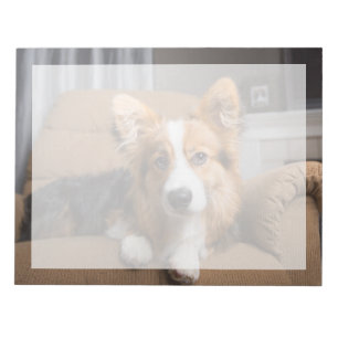 Cutest Baby Animals   Long Hair Corgi Puppy Notepad