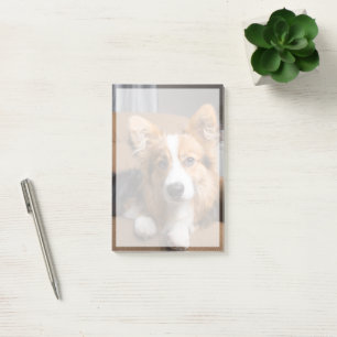 Cutest Baby Animals Long Hair Corgi Puppy Post-it Notes