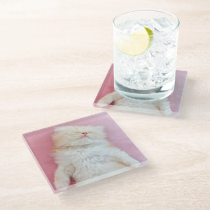 Cutest Baby Animals   Lovely Kitten Sleeping Glass Coaster