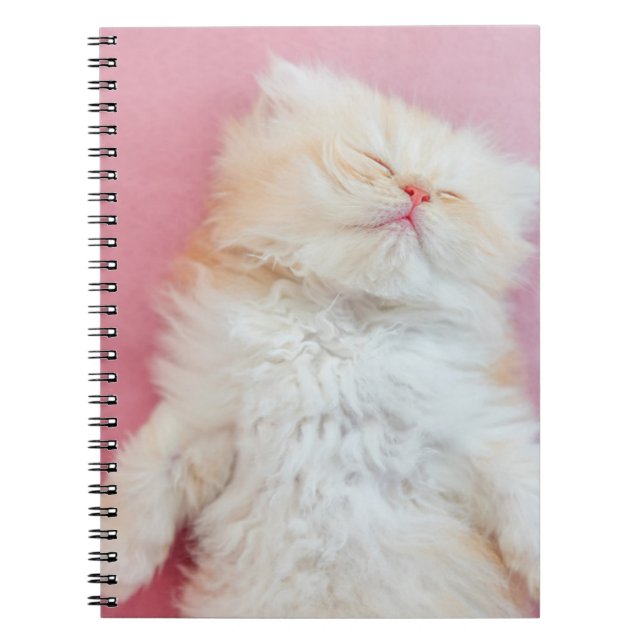 Cutest Baby Animals | Lovely Kitten Sleeping Notebook (Front)