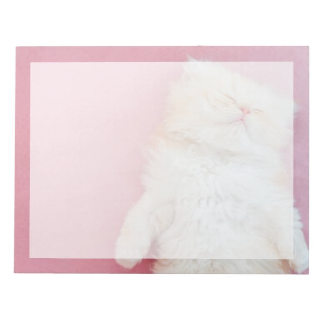 Cutest Baby Animals | Lovely Kitten Sleeping Notepad (Front)