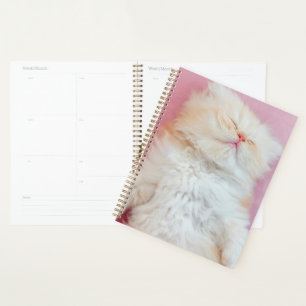 Cutest Baby Animals Lovely Kitten Sleeping Planner