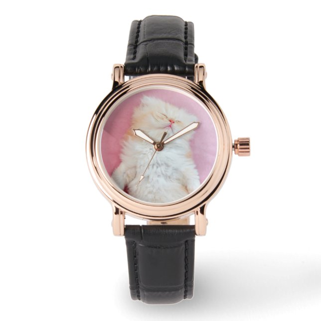 Cutest Baby Animals | Lovely Kitten Sleeping Watch (Front)