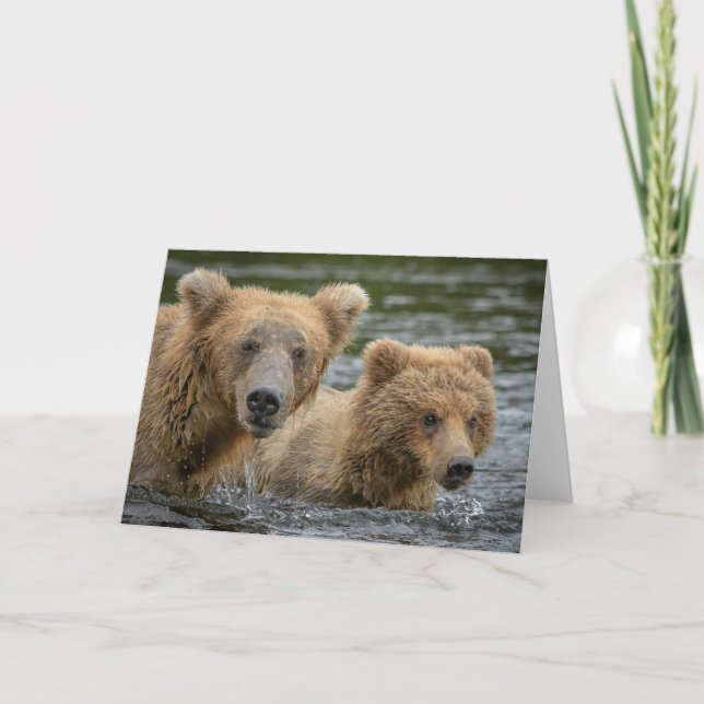 Cutest Baby Animals | Mama Bear & Her Cubs Card (Front)