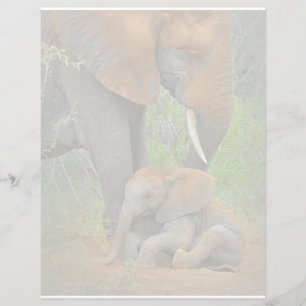 Cutest Baby Animals Mama Elephant & Baby