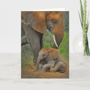 Cutest Baby Animals   Mama Elephant & Baby Card