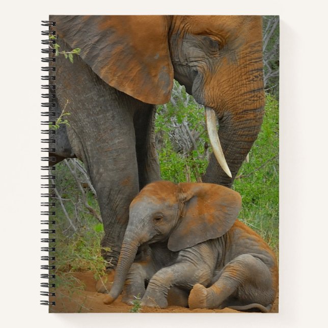 Cutest Baby Animals | Mama Elephant & Baby Notebook (Front)