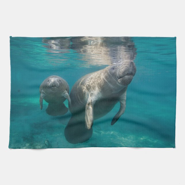 Cutest Baby Animals | Manatee & Baby Kitchen Towel (Horizontal)