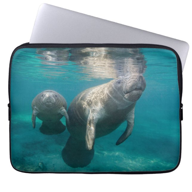 Cutest Baby Animals | Manatee & Baby Laptop Sleeve (Front)