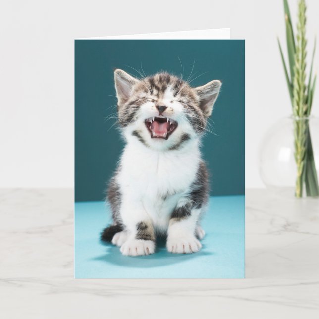 Cutest Baby Animals | Meowing Baby Kitten Card (Front)