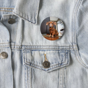 Cutest Baby Animals Mini Dachshund Puppy 2 Inch Round Button