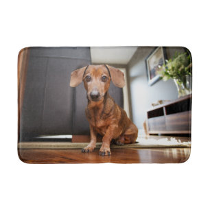 Cutest Baby Animals   Mini Dachshund Puppy Bath Mat