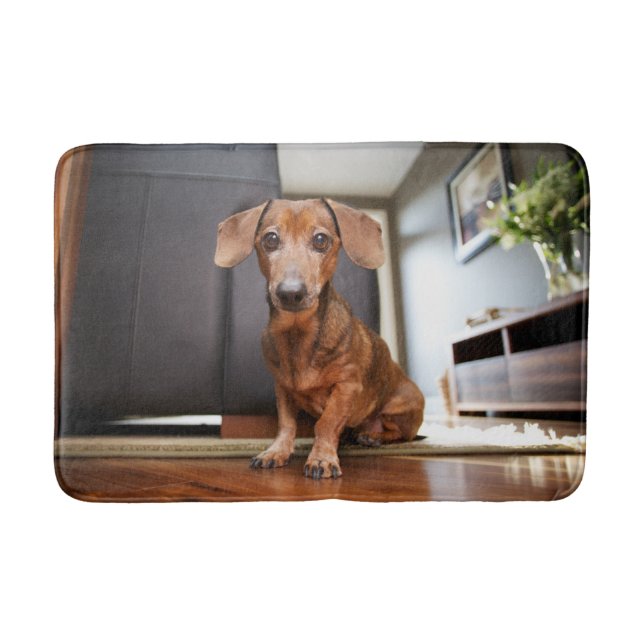 Cutest Baby Animals | Mini Dachshund Puppy Bath Mat (Front)