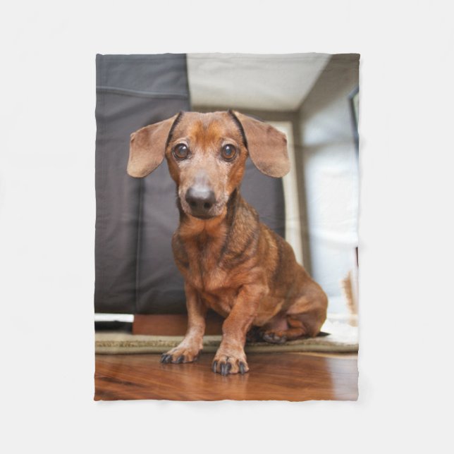Cutest Baby Animals | Mini Dachshund Puppy Fleece Blanket (Front)