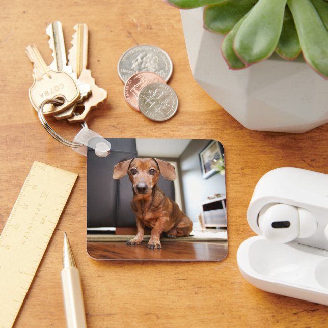Cutest Baby Animals | Mini Dachshund Puppy Keychain (Desk)