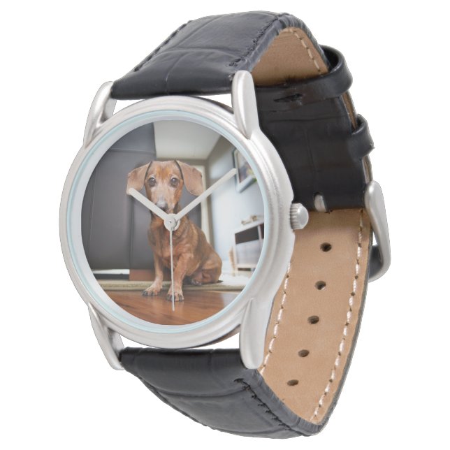Cutest Baby Animals | Mini Dachshund Puppy Watch (Angled)