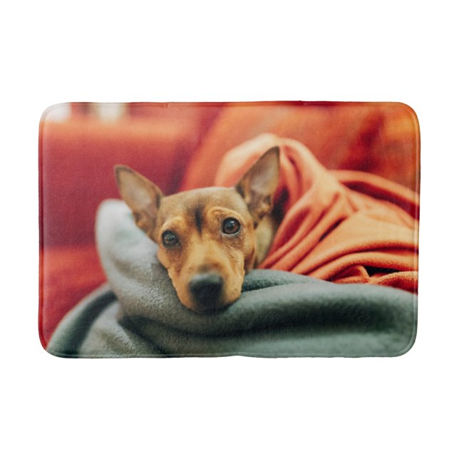 Cutest Baby Animals | Miniature Pinscher Bath Mat (Front)