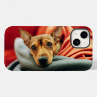 Cutest Baby Animals | Miniature Pinscher
