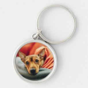 Cutest Baby Animals   Miniature Pinscher Keychain