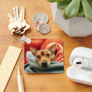 Cutest Baby Animals Miniature Pinscher Keychain