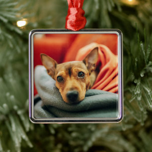 Cutest Baby Animals   Miniature Pinscher Metal Ornament
