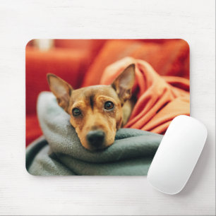 Cutest Baby Animals   Miniature Pinscher Mouse Pad