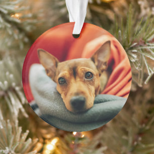 Cutest Baby Animals   Miniature Pinscher Ornament