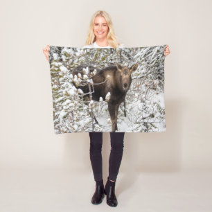 Cutest Baby Animals Moose Calf Fleece Blanket