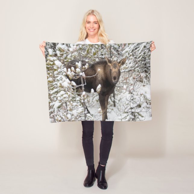 Cutest Baby Animals | Moose Calf Fleece Blanket (In Situ)
