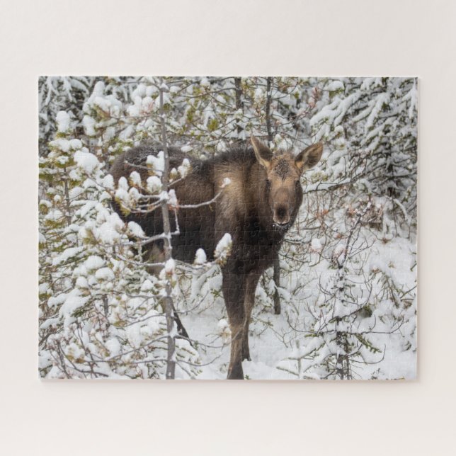 Cutest Baby Animals | Moose Calf Jigsaw Puzzle (Horizontal)