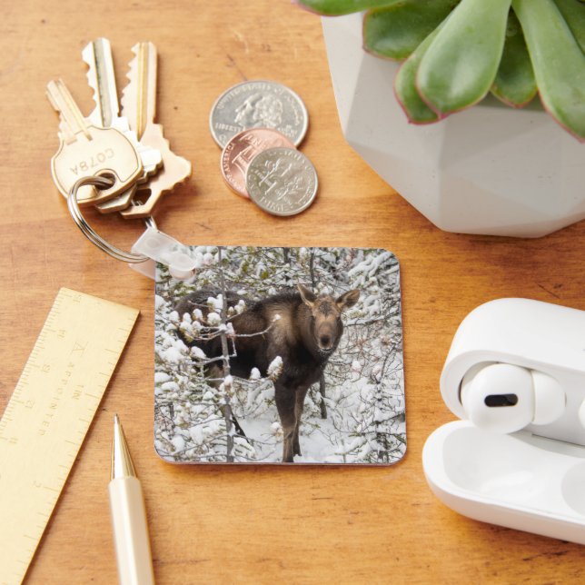 Cutest Baby Animals | Moose Calf Keychain (Desk)