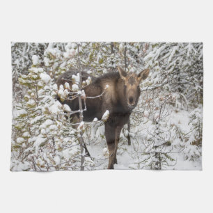 Cutest Baby Animals Moose Calf Kitchen Towel