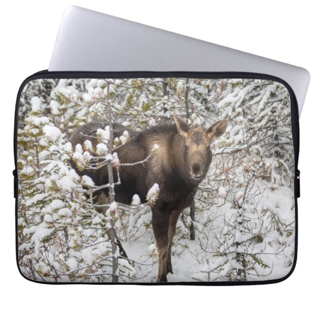 Cutest Baby Animals | Moose Calf Laptop Sleeve (Front)