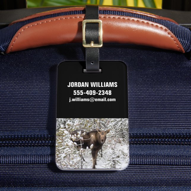 Cutest Baby Animals | Moose Calf Luggage Tag (Front Insitu 2)