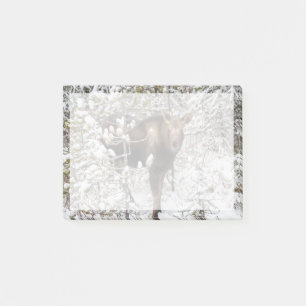 Cutest Baby Animals Moose Calf Post-it Notes