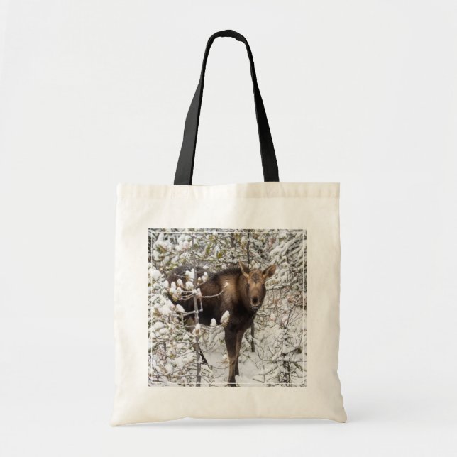 Cutest Baby Animals | Moose Calf Tote Bag (Front)