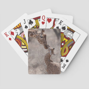 Cutest Baby Animals   Mother and Baby Giraffe Playing Cards