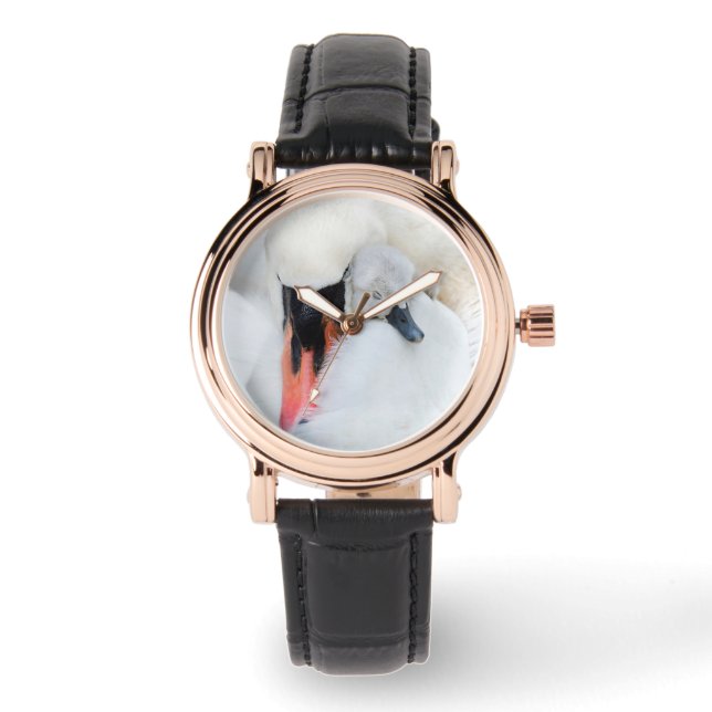 Cutest Baby Animals | Mother & Baby Mute Swan Watch (Front)