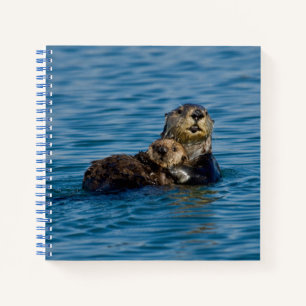Cutest Baby Animals   Mother & Baby Sea Otter Notebook