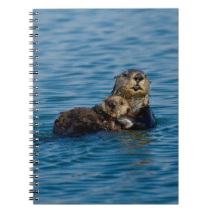 Cutest Baby Animals   Mother & Baby Sea Otter Notebook