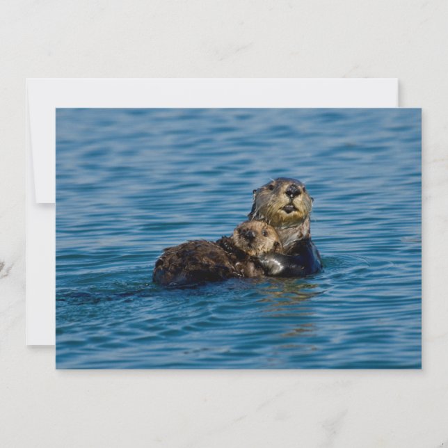 Cutest Baby Animals | Mother & Baby Sea Otter Thank You Card (Front)