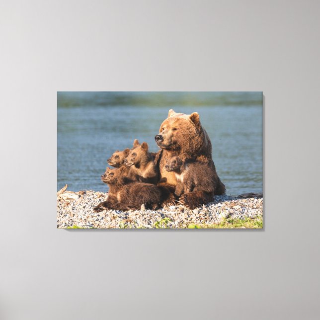 Cutest Baby Animals | Mother Bear & Cubs Canvas Print (Front)