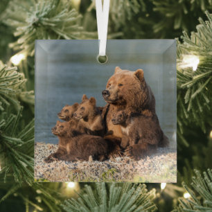 Cutest Baby Animals   Mother Bear & Cubs Glass Ornament