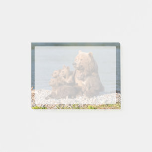 Cutest Baby Animals   Mother Bear & Cubs Post-it Notes