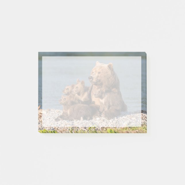 Cutest Baby Animals | Mother Bear & Cubs Post-it Notes (Front)