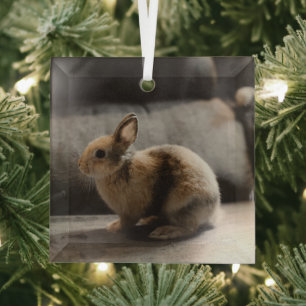 Cutest Baby Animals   Netherland Dwarf Rabbit Glass Ornament