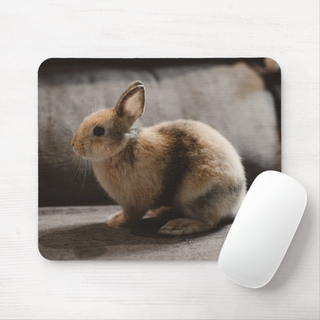Cutest Baby Animals | Netherland Dwarf Rabbit Mouse Pad (With Mouse)